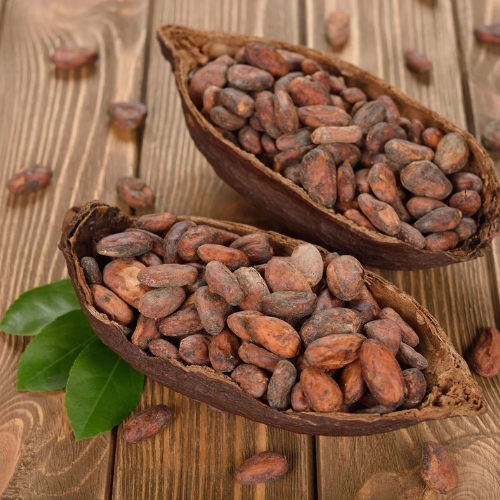 Cocoa Beans